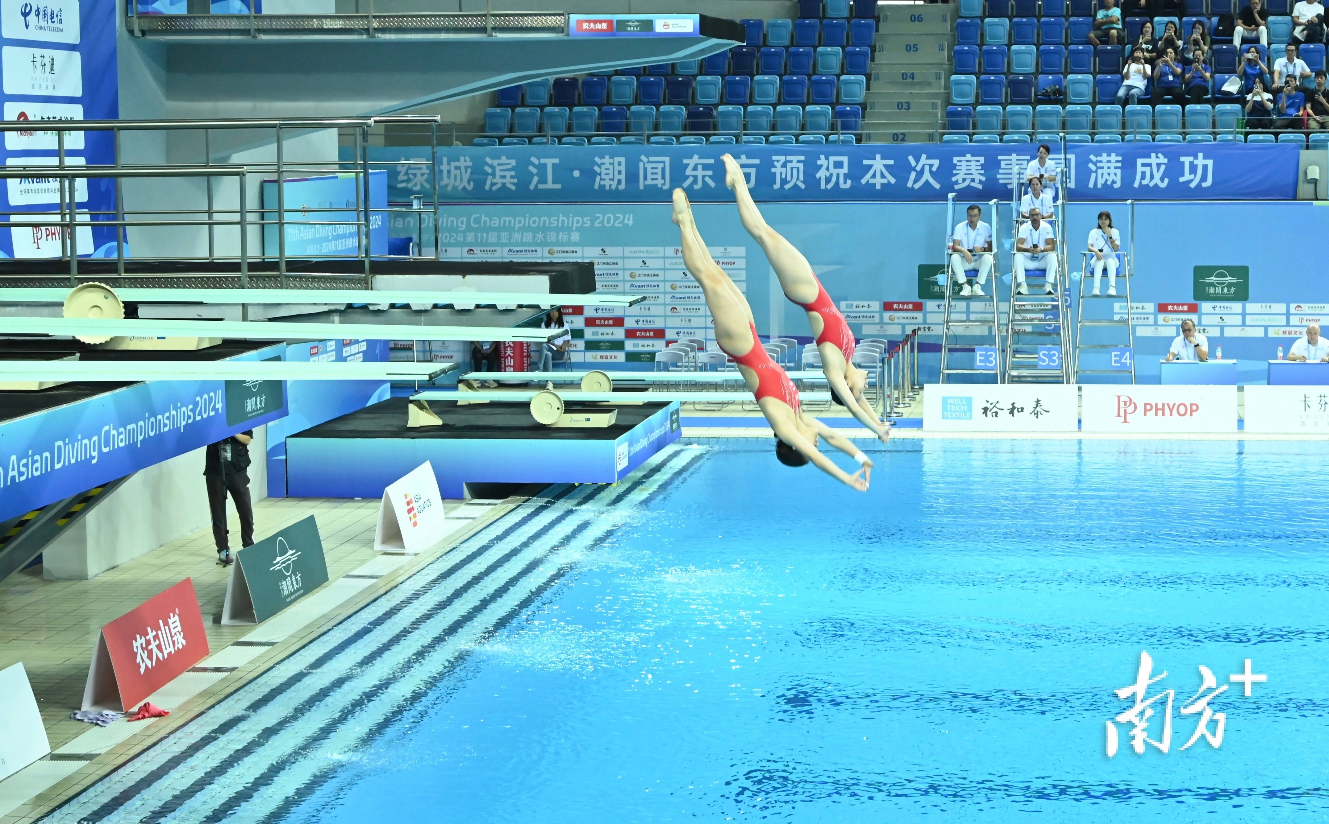 闪亮登场！女子跳水比赛惊艳亮相的简单介绍